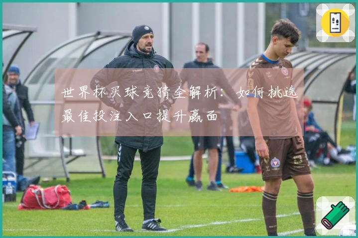 世界杯买球竞猜全解析：如何挑选最佳投注入口提升赢面