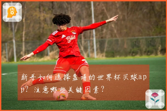 新手如何选择靠谱的世界杯买球app？注意哪些关键因素？