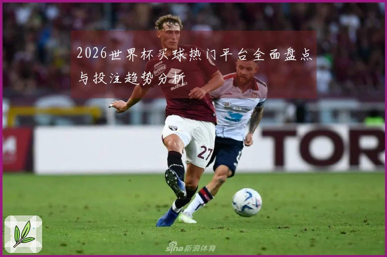 2026世界杯买球热门平台全面盘点与投注趋势分析